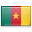 Landesflagge von Cameroon