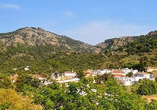 Alhaurín de la Torre · Webcam live