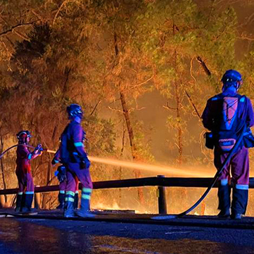 Teneriffa - Schwerster Waldbrand seit 40 Jahren