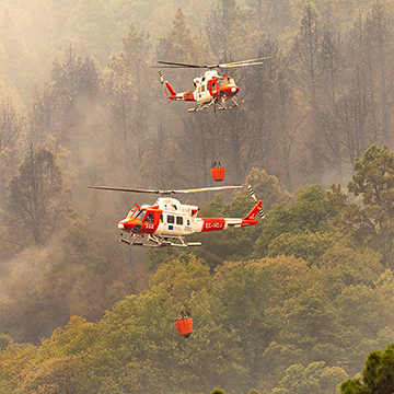 Waldbrand auf Teneriffa weiter außer Kontrolle