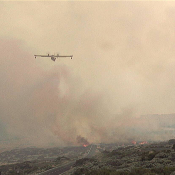 Schwerer Waldbrand auf Teneriffa