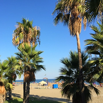 Kalenderwoche 46 bringt noch einmal 30 °C