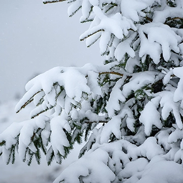 Winter kommt mit voller Wucht ins Oberallgäu