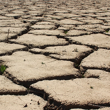 Trockenheit - Regentag bringt keine Entspannung