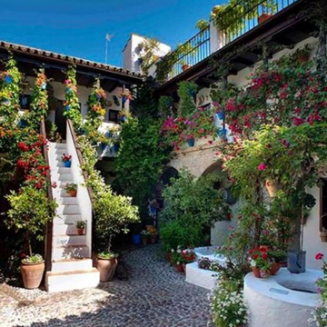 Los Geranios: las reinas de los Patios Cordobeses florecen por primavera
