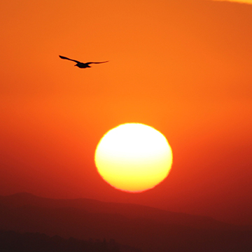 Las temperaturas se acercan a la marca de 40 °C en Andalucía, el Sur de España
