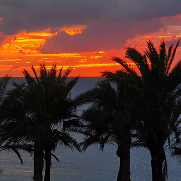 Es ist April und am Samstag wieder über 30 °C an der Costa del Sol