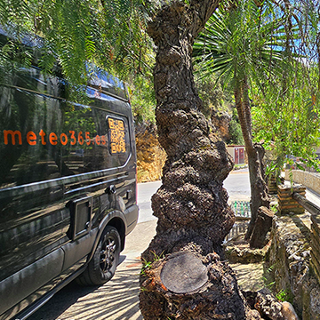 Un día en la Serranía de Ronda