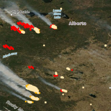 Waldbrände toben in der Prärieprovinz Alberta, Tausende evakuiert