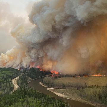 Waldbrände entwickeln sich zu einer dramatischen Naturkatastrophe