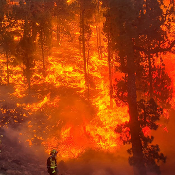 Waldbrand auf La Palma außer Kontrolle