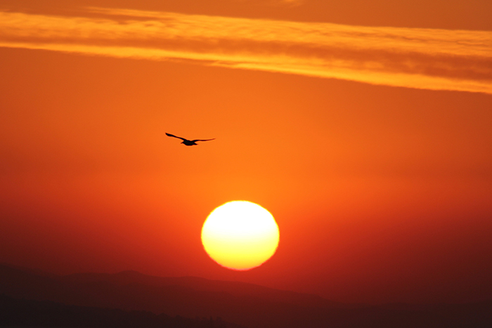 Temperatures are rising towards 40 °C in Andalusia, in the South of Spain