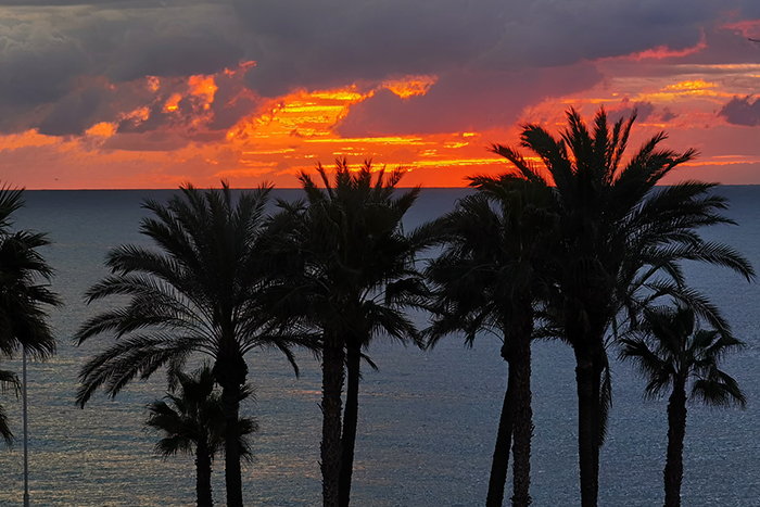 It is April and the Costa del Sol is expecting 30 °C this Saturday