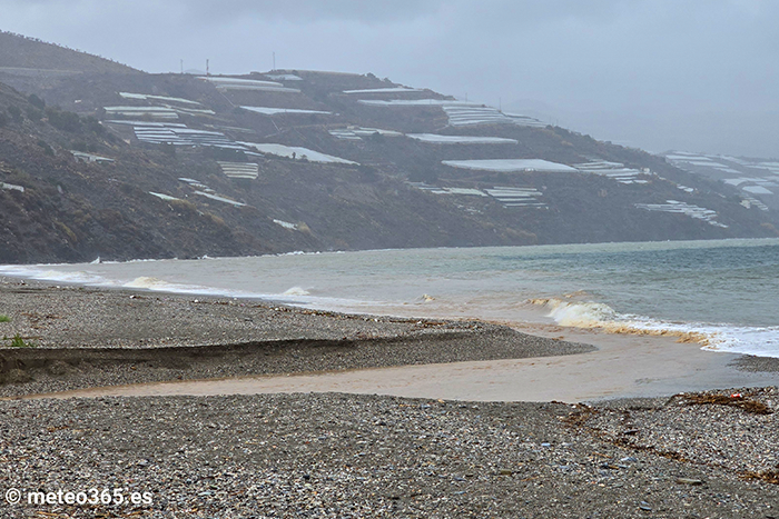 Climate Change - Greenpeace sounds the alarm