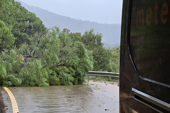 Storm Kristin in Pictures and Video