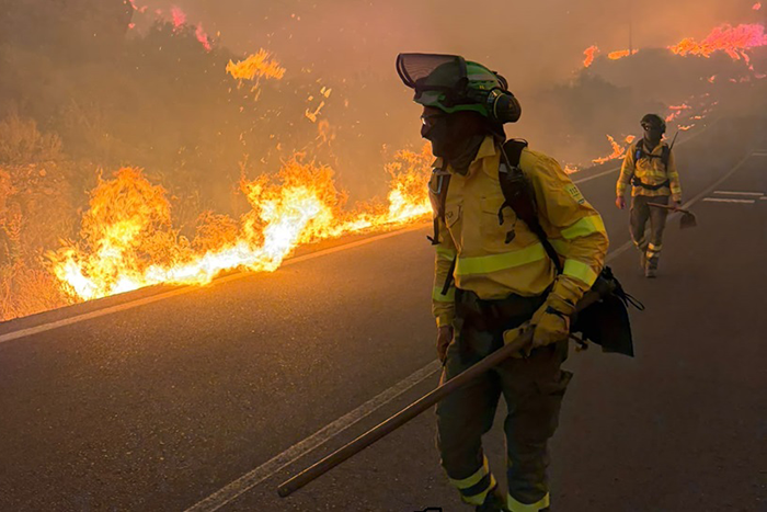 Devastating forest fire in the province of Almeria 