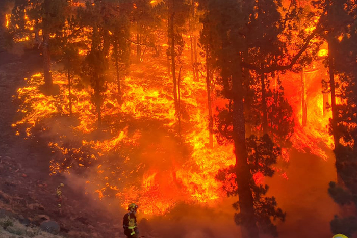 Forest fire on La Palma out of control