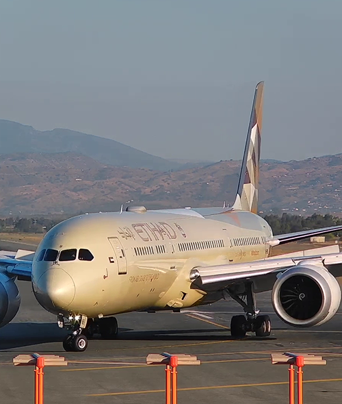 Spectacular landing of an Etihad Dreamliner