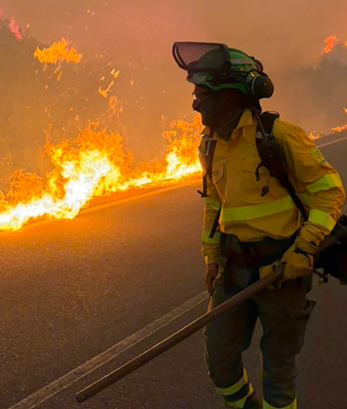 Devastador incendio forestal en la provincia de Almer&iacute;a 