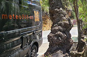 Die Deutschen lieben Spanien als Urlaubsland