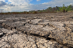 Ex-Hurrikan Gabrielle bringt kein Regen für Malaga