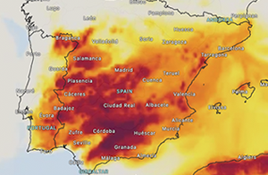 Terral brings warm weather and pollen