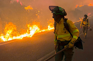 Devastating forest fire in the province of Almeria 