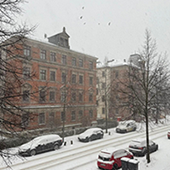 Storm Goretti brings heavy snow