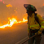 Schwerer Waldbrand in der Provinz Almeria 