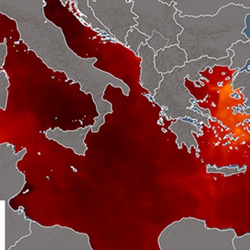 Water temperature at record levels