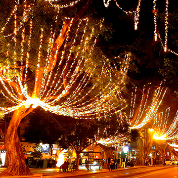 The magic of Christmas in Malaga