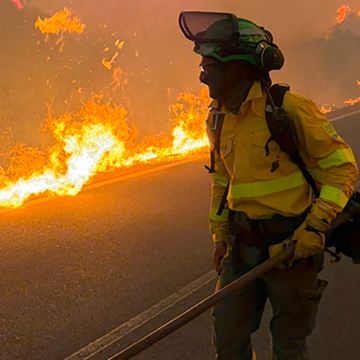Devastating forest fire in the province of Almeria 