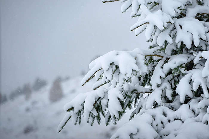 Winter kommt mit voller Wucht ins Oberallgäu