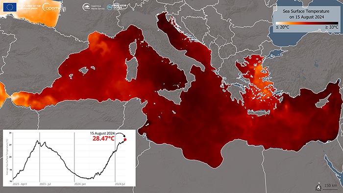 Water temperature at record levels